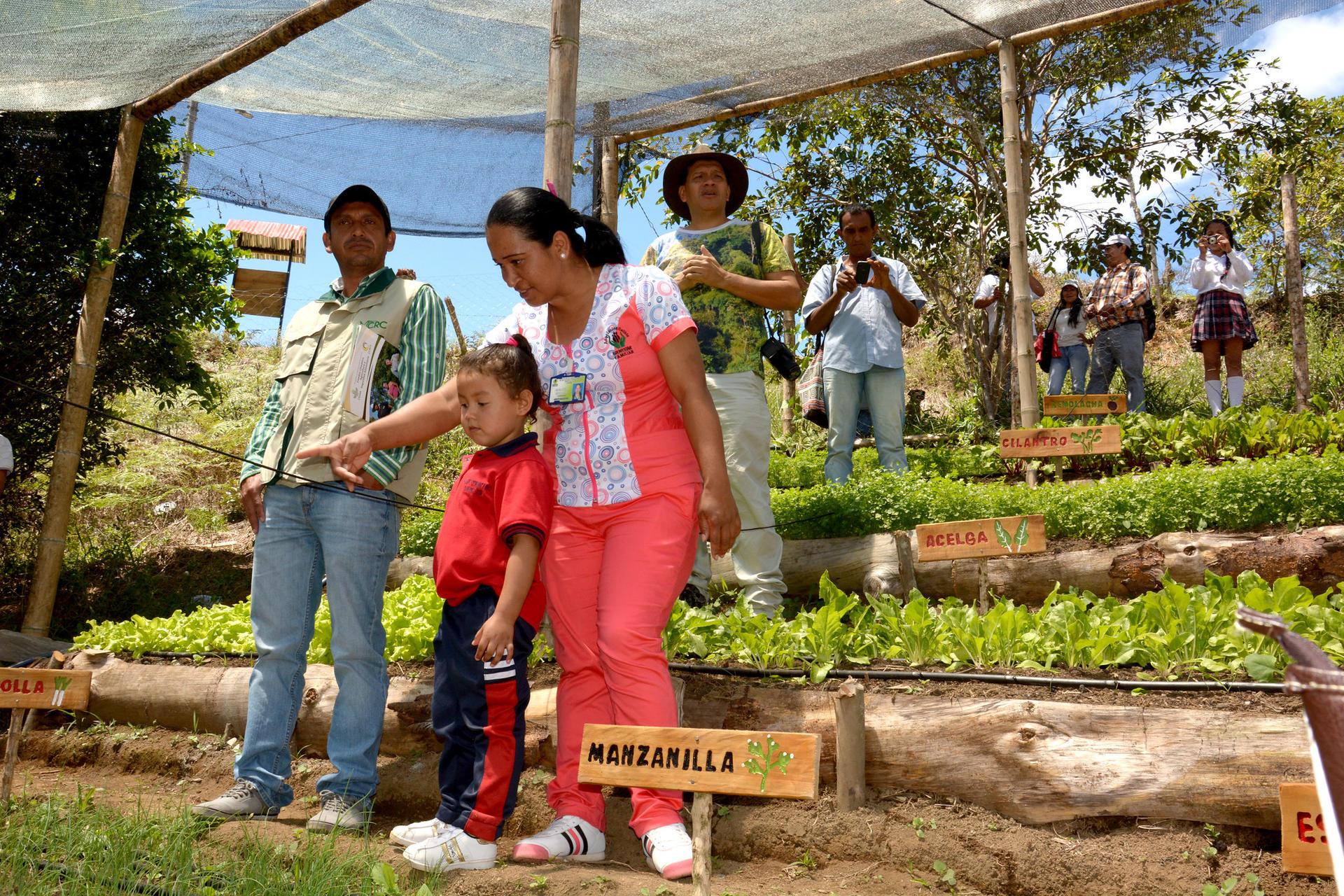 Biodiversity on our plate: The health and nutrition connection ...