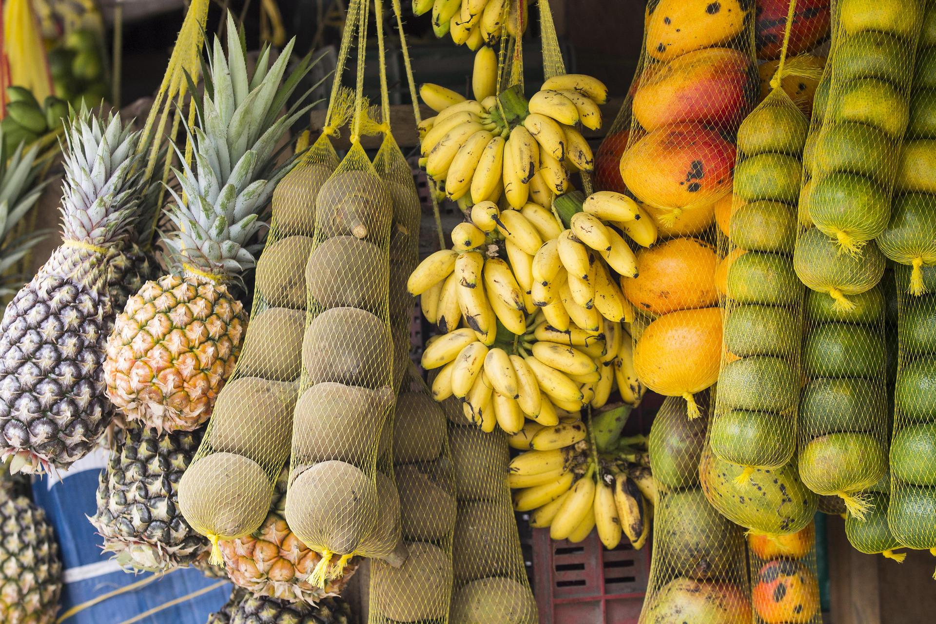 Biodiversity on our plate: The health and nutrition connection ...